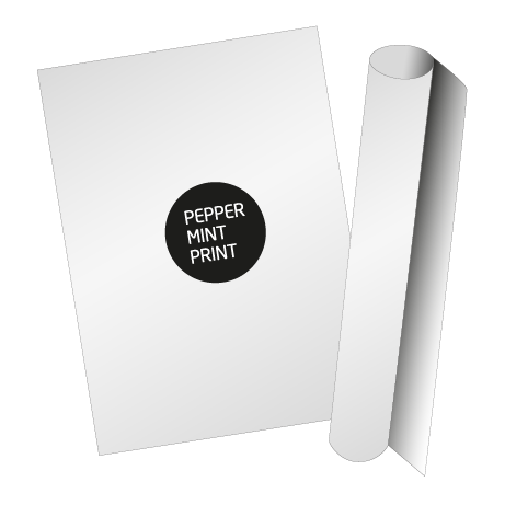 Plakate und Poster | DIN A3 | einseitig bedruckt